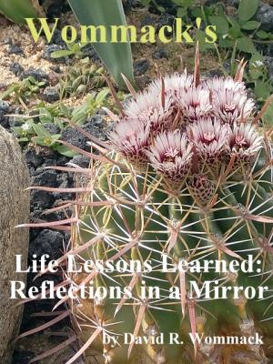 Wommack's Life Lessons Learned: Reflections in a Mirror