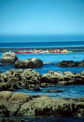 Rowers off Cannery Row