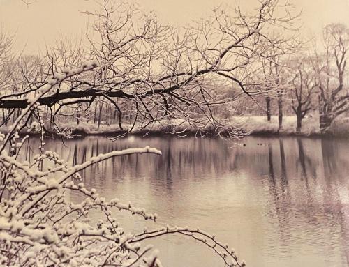 April Snowfall Over Willowbrook Faarm Pond
