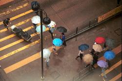 Hong Kong Umbrellas